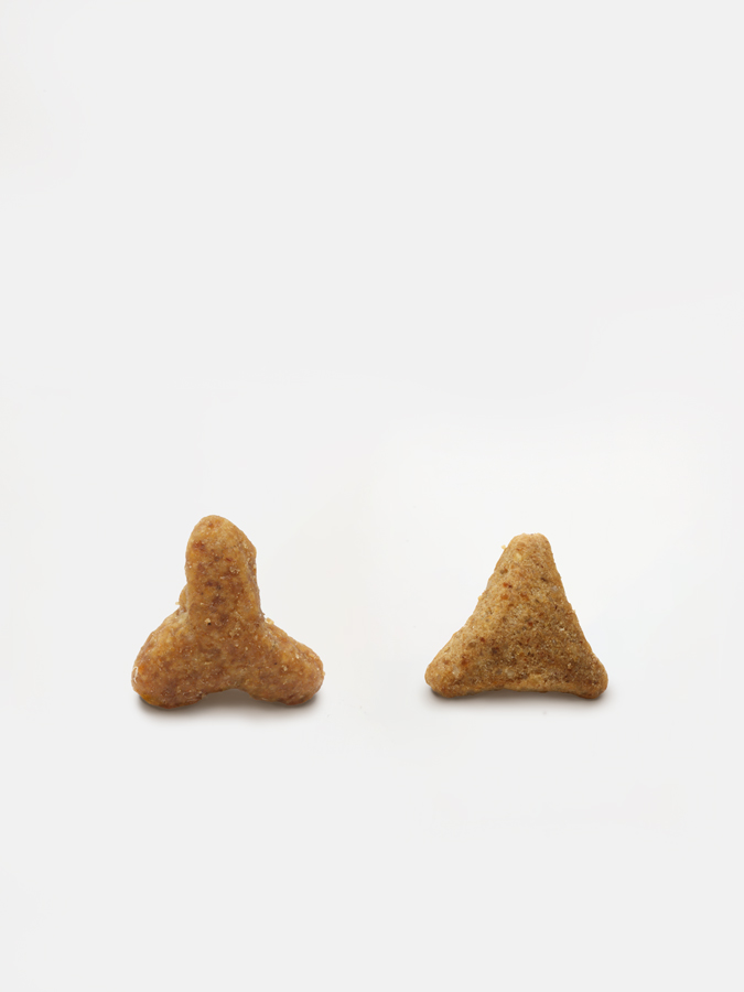 キャットフードの画像