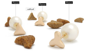 キャットフードピアスの画像