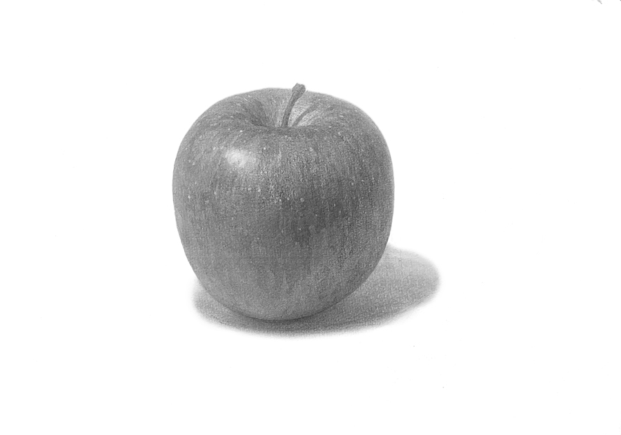 りんごのデッサンの描き方の画像